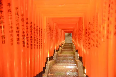 DSC_3213 (Large).JPG